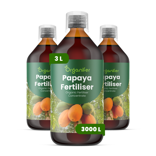 Drei Flaschen Organifer Papaya-Dünger, organisches Düngerkonzentrat, insgesamt 3 Liter.