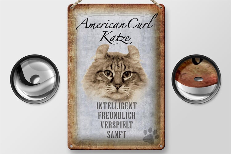 Blechschild Spruch 20x30cm American Curl Katze Schild