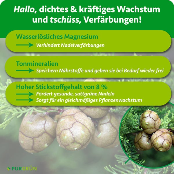 Infografik für Purgrün Dünger mit Angaben zu wasserlöslichem Magnesium, Tonmineralien und 8 Prozent Stickstoffgehalt für dichtes Pflanzenwachstum.
