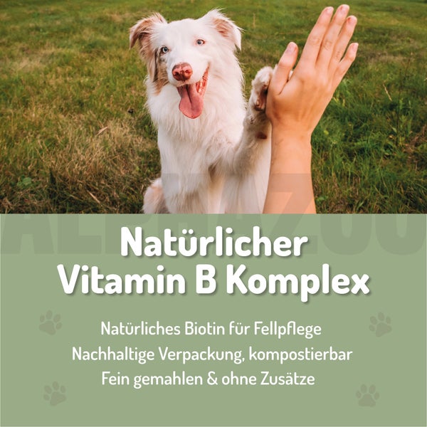 alphazoo Bierhefe Pulver 250g