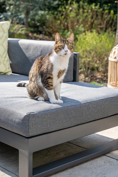 Eine Katze sitzt auf einem grauen Garten-Lounge-Sofa mit Metallgestell auf einer Terrasse.