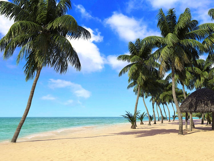 Tropischer Strand mit Palmen und Strandhütte