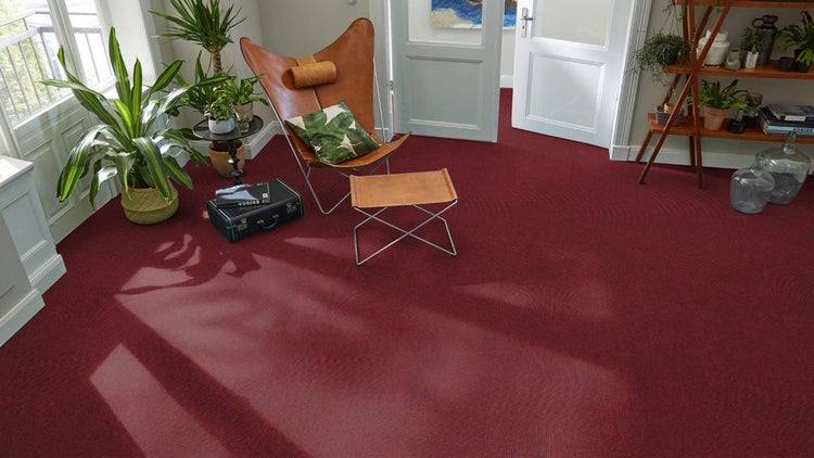Modernes Wohnzimmer mit rotem Teppichboden, einem braunen Butterfly-Sessel mit Hocker und verschiedenen Zimmerpflanzen in hellem Raum.