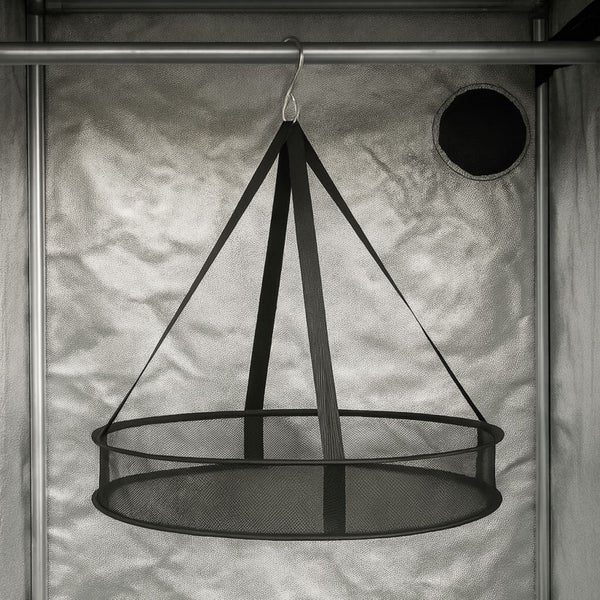 Rundes Trocknungsnetz mit Haken zum Aufhängen in einem Growzelt