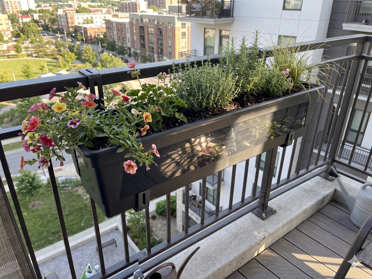 Bepflanzter Balkonkasten aus dunklem Kunststoff an einem Metallgeländer mit bunten Blumen und Kräutern vor einer Stadtlandschaft.