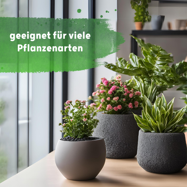 Blusana Langzeitdünger Lewatit HD 50 NPK Dünger für Zierpflanzen in Hydrokultur Dose 800 ml