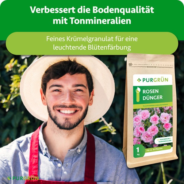 Lächelnder Gärtner in einem Garten neben einer 1 Kilogramm Packung Purgrün Rosendünger mit Tonmineralien für prächtige Blüten. Purgrün Logo.