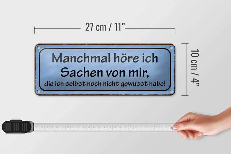Blechschild Spruch 27x10cm manchmal höre ich Sachen von mir Dekoration