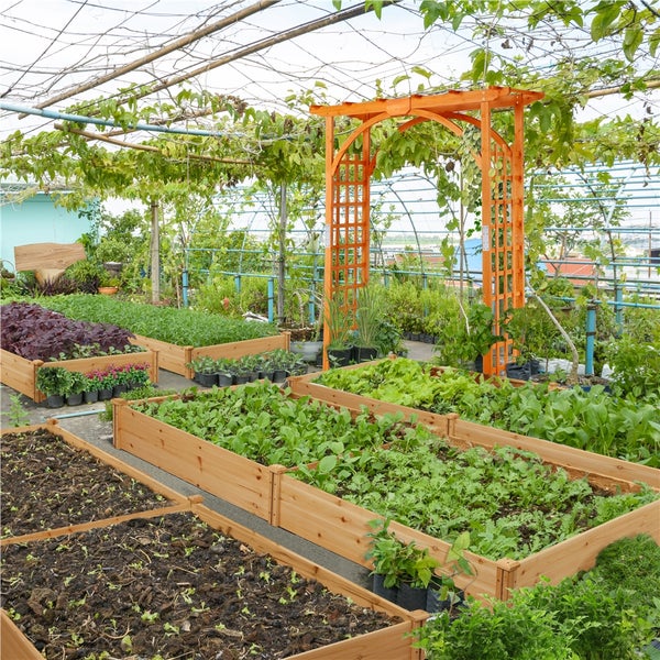 Übersicht eines Gartens mit Hochbeeten und Pflanzen