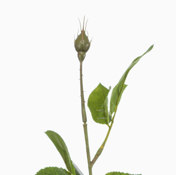 Künstliche grüne Rosenknospe mit Stiel und Blättern