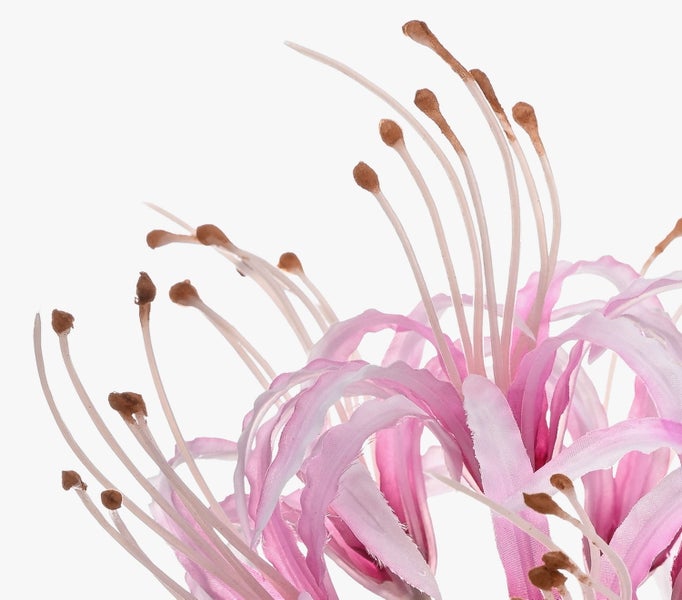Detailaufnahme einer künstlichen Blume in Pink mit langen Blütenblättern und Staubblättern.