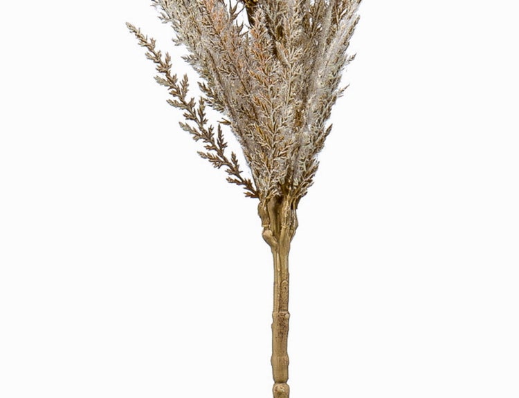 Grüne Bergpalme Chamaedorea elegans in einem schwarzen Kunststofftopf für den Innenbereich.