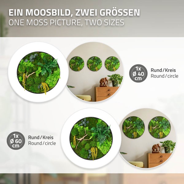 Rundes Moosbild als Wanddekoration in den Durchmessern 40 Zentimeter und 60 Zentimeter mit natürlicher Pflanzenoptik für die Inneneinrichtung.