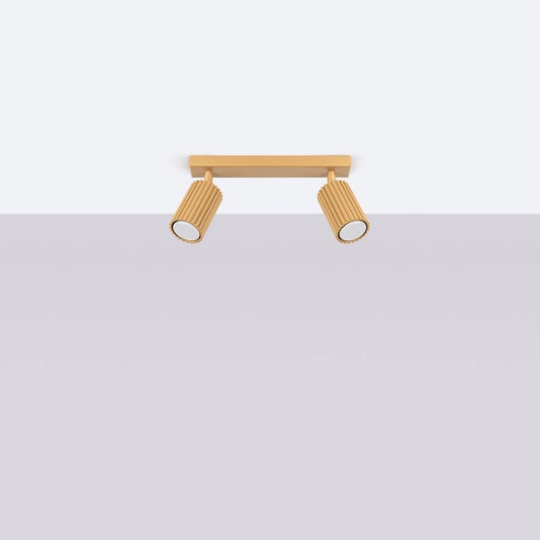 Deckenleuchte mit zwei Strahlern