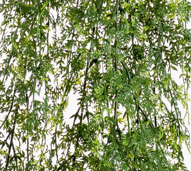 Künstliche Hängepflanze mit grünen, fein gefiederten Blättern.