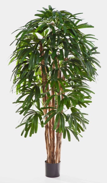 Künstliche Steckenpalme Rhapis excelsa mit braunen Stämmen und grünen Blättern in einem schwarzen Topf.