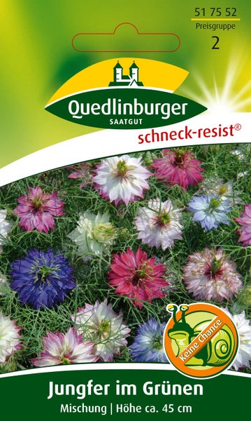 Samentüte für Jungfer im Grünen von Quedlinburger Saatgut, schneckenresistente Mischung, Wuchshöhe circa 45 Zentimeter, Quedlinburger Saatgut Logo.
