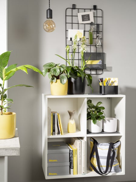 Scheurich Solido, Blumentopf aus Keramik,  Farbe: Solare, 17,6 cm Durchmesser, 16 cm hoch, 3,1 l Vol.