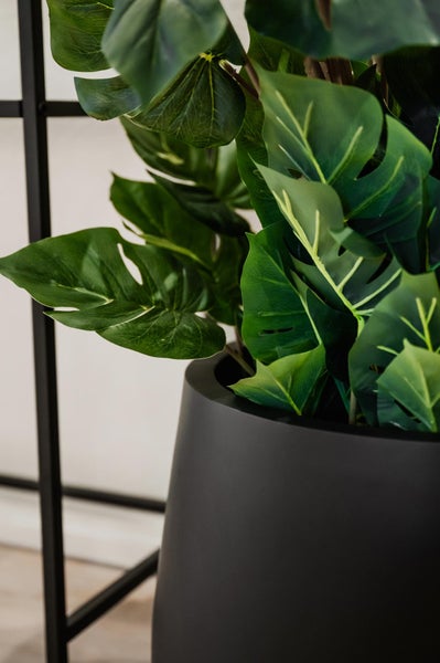 Künstliche Monstera Pflanze in einem schwarzen Blumentopf.