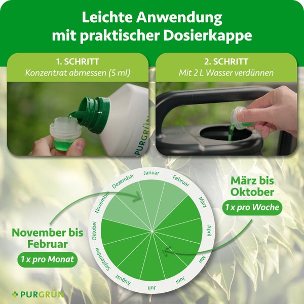 Anleitung zur Dosierung von Purgrün Dünger: 5 Milliliter Konzentrat abmessen und in 2 Liter Wasser mischen. Anwendungskalender. Purgrün Logo.