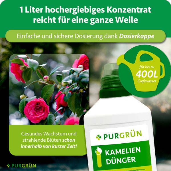 Purgrün Kamelien-Dünger, 1 Liter Konzentrat für bis zu 400 Liter Gießwasser, inklusive Dosierkappe für gesundes Wachstum und Blüten.