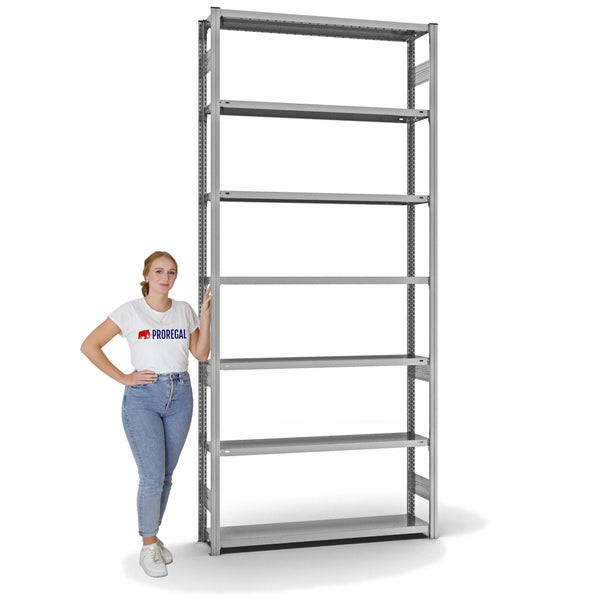 PROREGAL Fachbodenregal Stecksystem T-Profil Light-Duty Grundregal HxBxT 300 x 130 x 30 cm 7 Ebenen Fachlast 175 kg Beidseitig Nutzbar Verzinkt