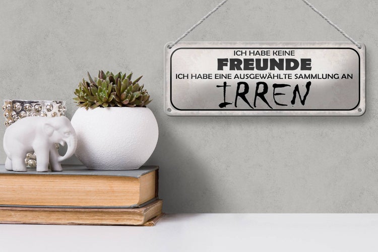 Blechschild Spruch 27x10cm keine Freunde Sammlung an Irren Dekoration