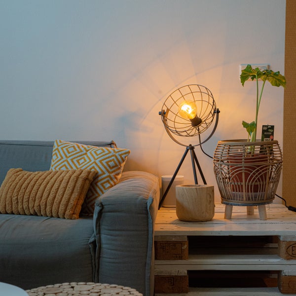 Wohnzimmer mit grauer Couch, Kissen, Tischlampe und Zimmerpflanze