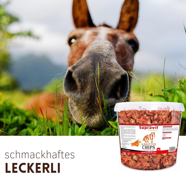 Supravit Karottenchips für Pferde vor einem Pferd