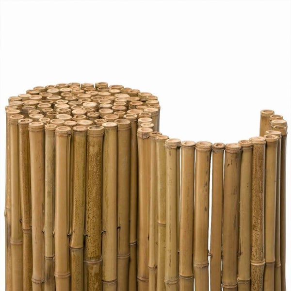 Bambusmatte DELUXE - Naturprodukt - 150x250cm - Sichtschutz für den Innen- und Außenbereich - Extra dicke Bambusstäbe