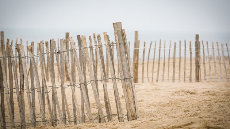 Holzzaun am Strand