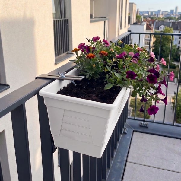 Weißer rechteckiger Balkonkasten mit Metallhalterung an einem schwarzen Geländer, bepflanzt mit bunten Petunien auf einem Balkon.