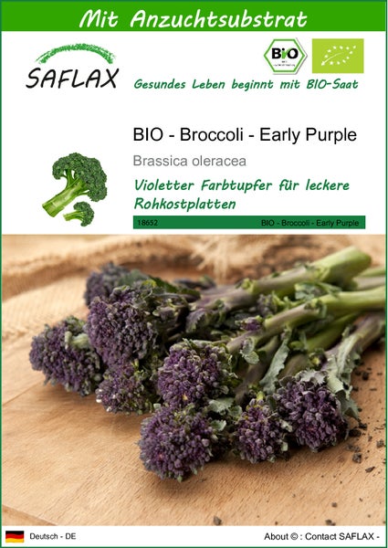 SAFLAX  - BIO - Broccoli - Early Purple - Brassica oleracea - 150 Samen - Mit keimfreiem Anzuchtsubstrat