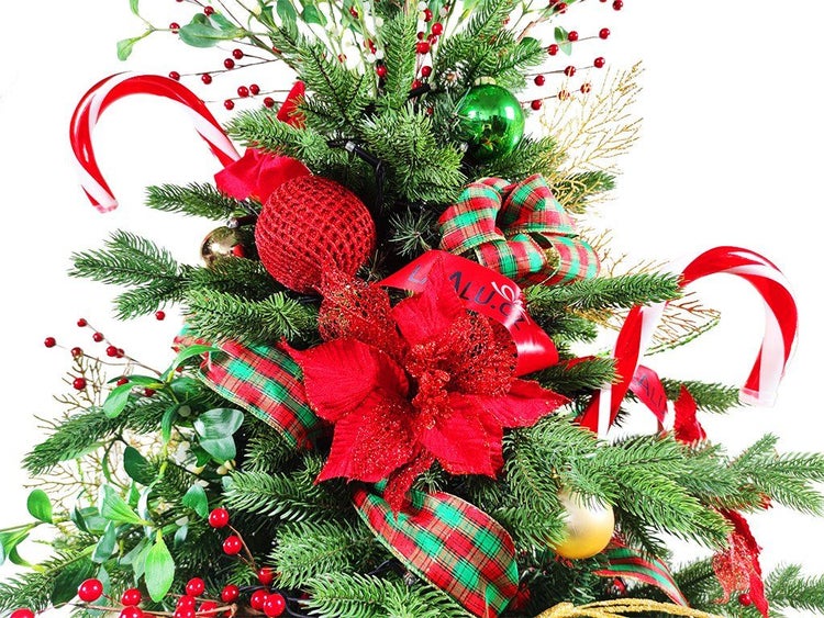 Festlich geschmückter Weihnachtsbaum mit roten Weihnachtssternen, karierten Schleifen, Zuckerstangen und Kugeln als weihnachtliche Dekoration.