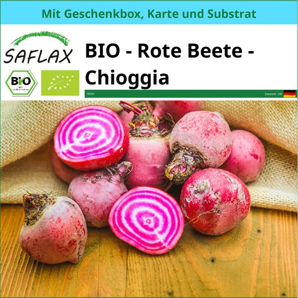 SAFLAX Geschenk Set - BIO - Rote Beete - Chioggia - Beta vulgaris - 70 Samen - Mit Geschenkbox, Versandaufkleber, Geschenkkarte und Anzuchtsubstrat