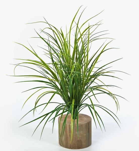 Künstliche grüne Graspflanze mit langen Blättern in einem runden Holzsockel