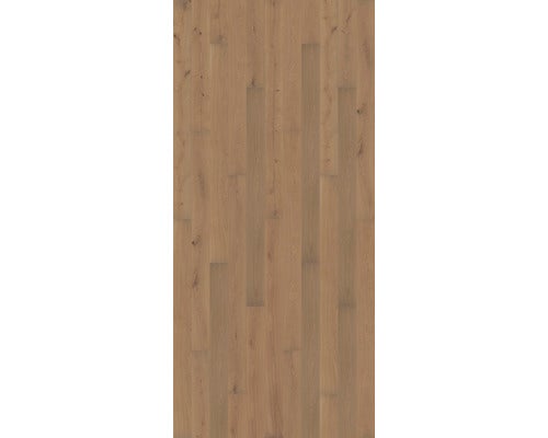 Parkett 13.0 Eiche Schilfgrau