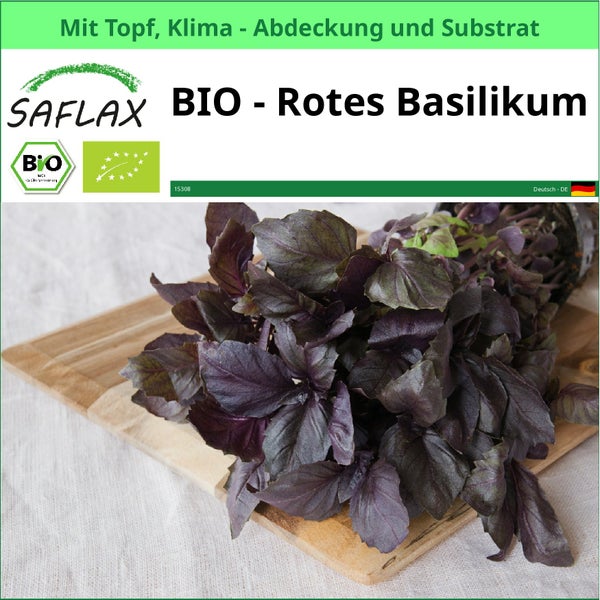 Bio Rotes Basilikum im Topf von Saflax