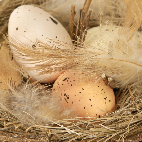 Dekoratives Vogelnest mit drei Eiern und Federn