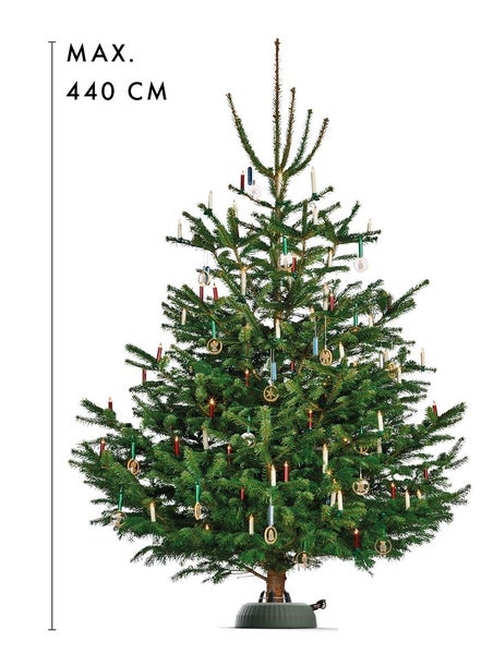 Geschmückter Weihnachtsbaum mit einer maximalen Höhe von 440 cm
