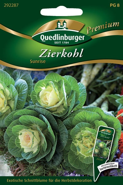 Samentüte für Zierkohl Sunrise von Quedlinburger mit Abbildung von drei dekorativen Kohlköpfen mit grün-weißen Blättern.
