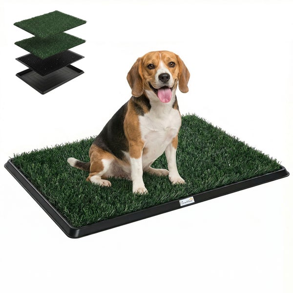 Dreiteilige PawHut Hundetoilette mit Kunstrasen und Drainagesystem für Welpen, ein Beagle sitzt auf der Matte.
