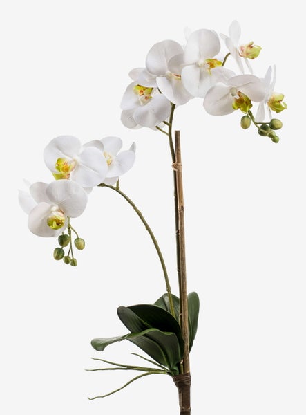 Künstliche Orchidee mit weißen Blüten, grünen Knospen und Stiel.