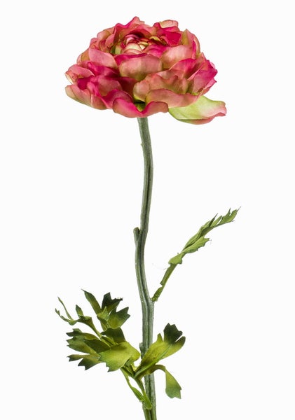 Künstliche Ranunkel mit rosa Blüte und grünem Stiel für die Innendekoration.