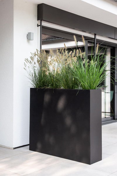 Großer schwarzer rechteckiger Pflanzkübel mit Ziergräsern auf einer modernen Terrasse neben einer weißen Wand und Glastür.