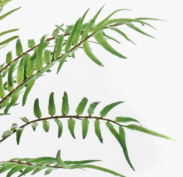 Nahaufnahme der Blätter einer grünen Kunstpflanze Farn aus Kunststoff.