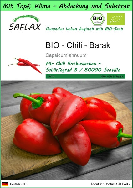 SAFLAX Garden to go - BIO - Chili - Barak - Capsicum annuum - 15 Samen - Mit Topf, Klima - Deckel und Anzuchtsubstrat