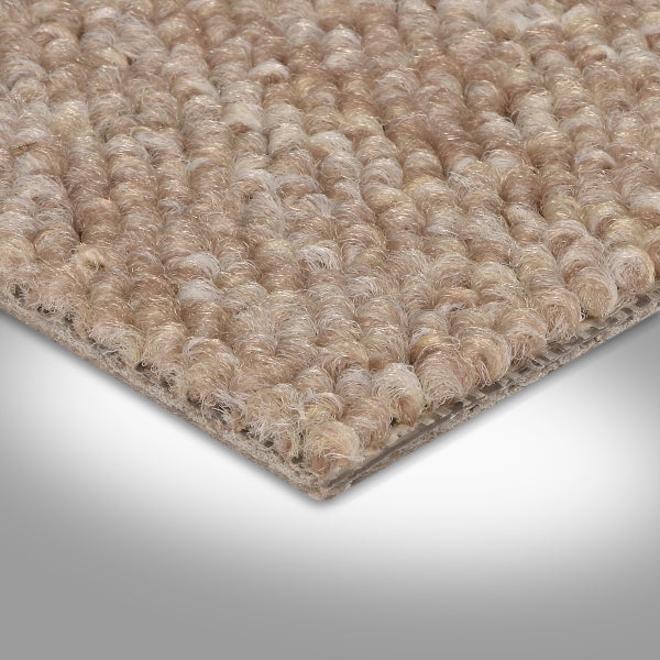 Teppichboden Meterware für Esszimmer und Wohnzimmer Auslegware mit Vliesrücken 500 cm Breite (Meterware)