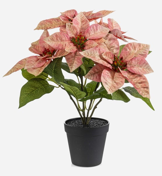 Künstlicher Weihnachtsstern mit lachsfarbenen Blüten und grünen Blättern im schwarzen Topf.