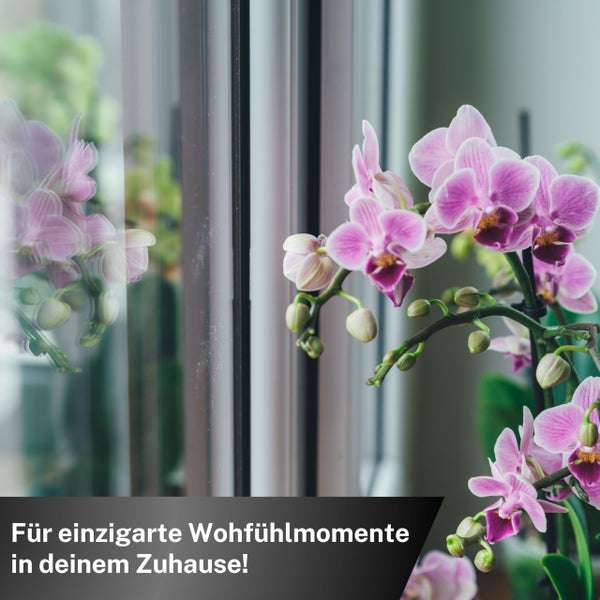 Greenyp 60x Orchideen Düngestäbchen I Universal NPK Orchideendünger für kraftvolle Blüten I Langzeitdünger mit Extra Eisen und 3 Monate Düngekraft.